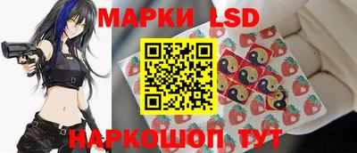 стаф Дубна