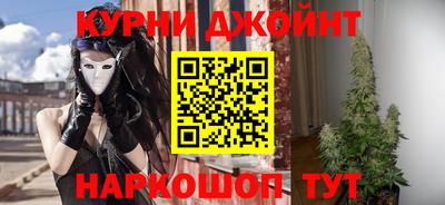 стаф Дубна