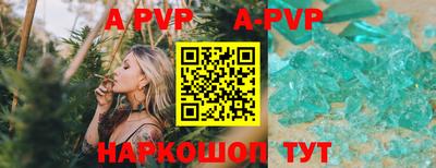 стаф Дубна
