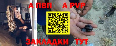 стаф Дубна