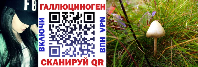 купить наркотик  МЕГА ССЫЛКА  Псилоцибиновые грибы прущие грибы  Новотроицк 