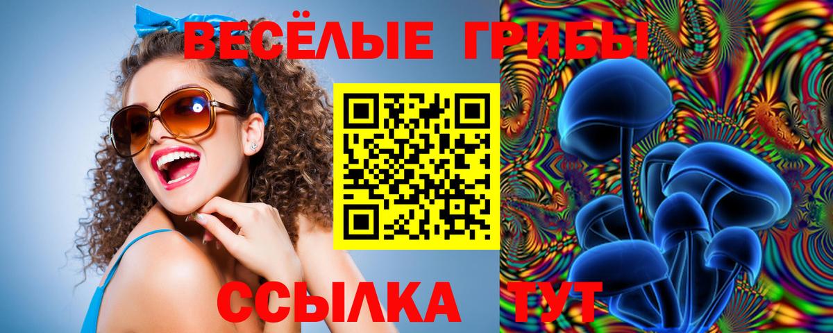 Псилоцибиновые грибы ЛСД Новотроицк