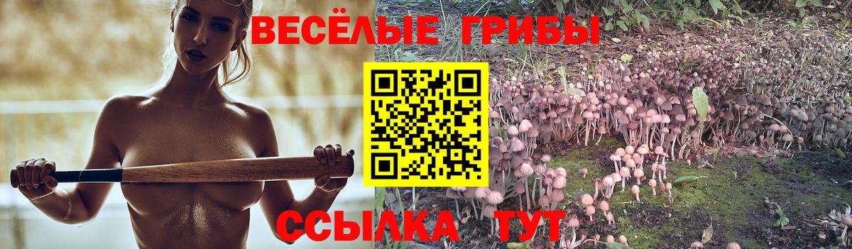 где купить   Вход с VPN  Новотроицк  Галлюциногенные грибы GOLDEN TEACHER 